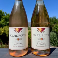 2025 Soliste Summer Case 1